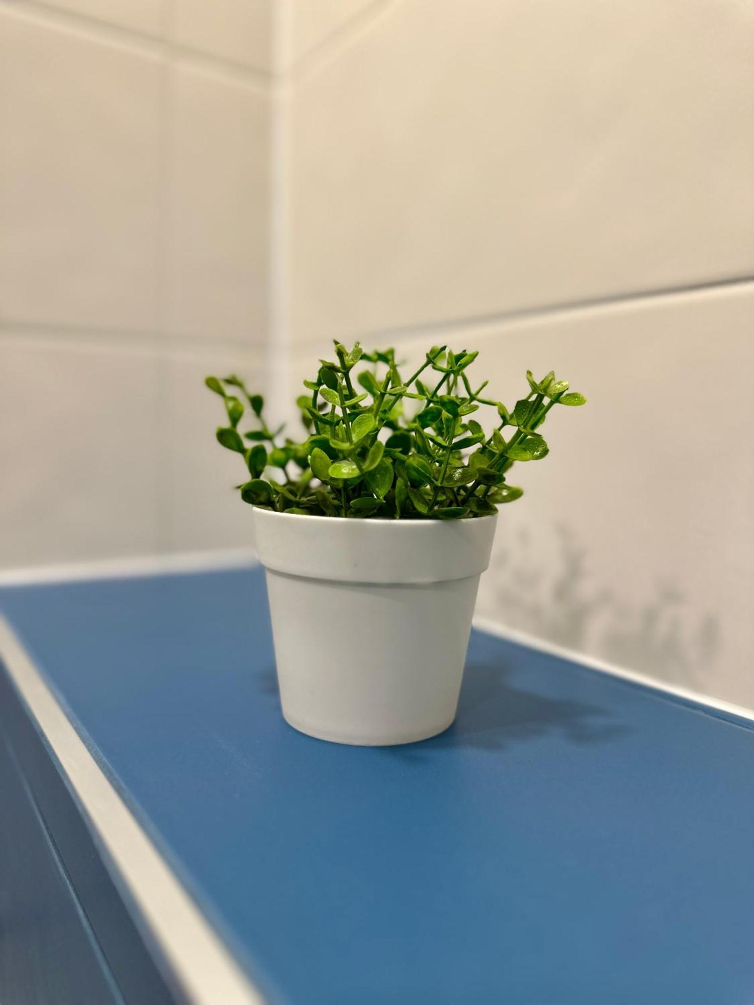 Noble House Comfort Place Sofia Bagian luar foto